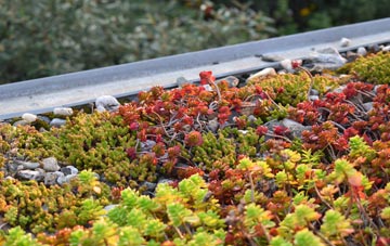 the cost of Freckenham green roof installation