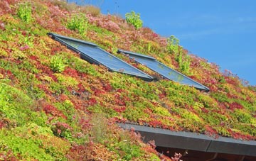 Freckenham living roof systems