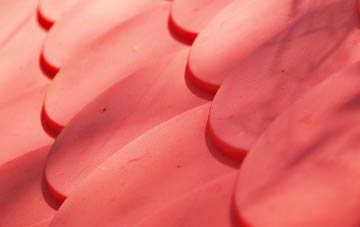 Freckenham plastic roof costs