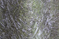 Freckenham fibreglass roof work